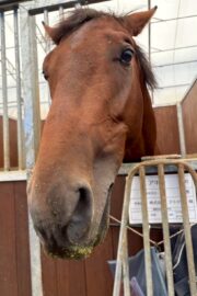 アキラ(オーナー決定)