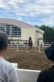 ②ハル(2口)　山武