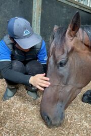 ⑬メメ(2口)山武