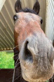 ㉒こころ号(8口)　山武