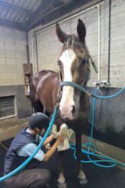 ⑥ノア(2口)　山武