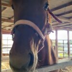 【重要】皆様にご協力頂きたいお願い