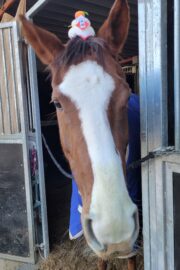 ⑥ノア(2口)　山武