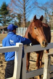 テラ(オーナー決定)