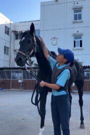 ⑧ピノ(8口)　山武