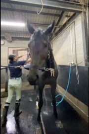 ㉒こころ号(8口)　山武