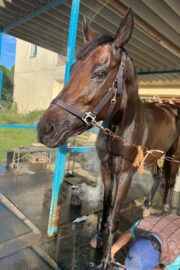 ㉒こころ号(8口)　山武