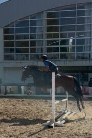 ⑨つむぎ(1口)　山武