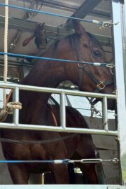 ㉗チャコ(8口)　大阪