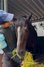 ⑤ハオ(1口)　山武