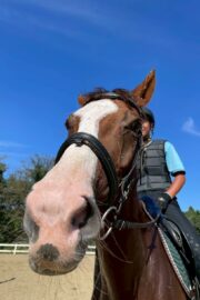 ⑥ノア(2口)　山武