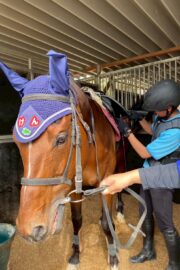 ④ケン(4口)　山武