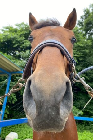 アキラ(オーナー決定)