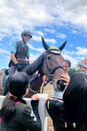 ⑱あゆみ(1口)　山武