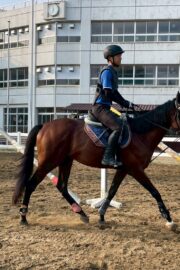 ⑨つむぎ(1口)　山武