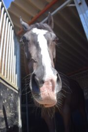 ㉓アンジュ(8口)　山武