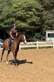 ㉞フォルトゥーナ（8口）四木