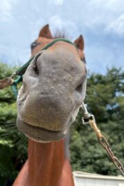 アキラ(オーナー決定)