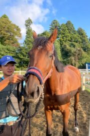 ⑰ユメ(2口)　山武