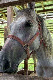 ㉘ヒカル(12口)　大阪