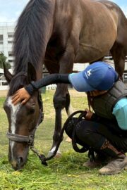 ①パヴォーネ(2口)　山武