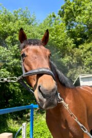 アキラ(オーナー決定)