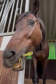 ㉒こころ号(8口)　山武