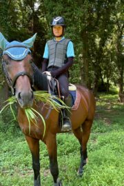 ブライト(オーナー決定)