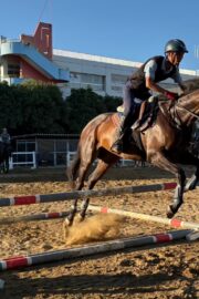 ⑬メメ(2口)山武