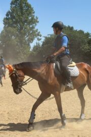 ③エル(2口)　山武