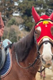 ⑥ノア(2口)　山武