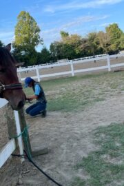 ⑱あゆみ(1口)　山武