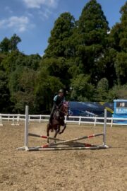 ⑲イヴ(1口)　山武