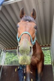 ⑨つむぎ(1口)　山武