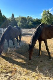 ㉒こころ号(8口)　山武