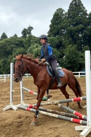 テラ(オーナー決定)