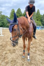 ⑭シャイン(8口)　山武