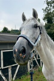 ㉘ヒカル(12口)　大阪