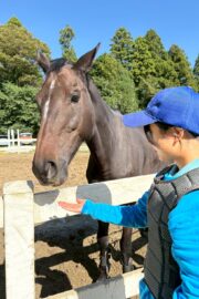 ㉔ヒナタ(8口)　山武
