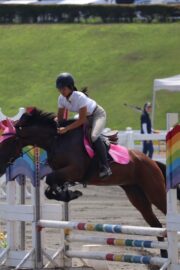 ⑱あゆみ(1口)　山武