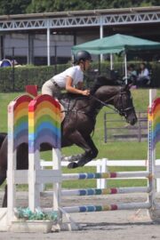 ⑧ピノ(8口)　山武