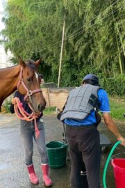 ③エル(2口)　山武