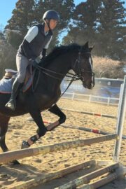 ⑤ハオ(1口)　山武