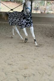 ㊶ルル（4口）山武