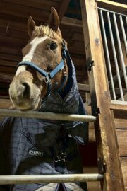 ㊹ラテ（9.5口）山武