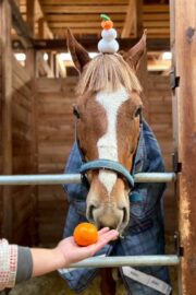 ㊹ラテ（9.5口）山武