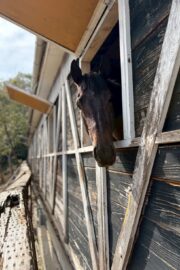 ㊿アース（2.5口）　大阪