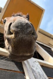 ㊿アース（2.5口）　大阪