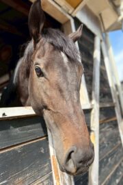 ㊿アース（2.5口）　大阪