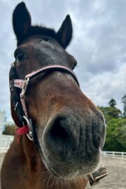 (53)名前未定（10口）山武